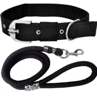 Pet Collar & Leash
